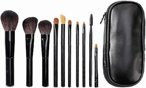 HBJWOV 10 Piece Makeup Brush Set Beginner Makeup Brush Portable Makeup Brush Set